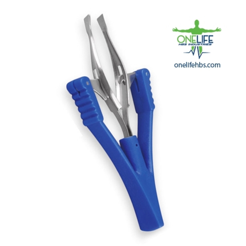 Upper Centrals and Canines